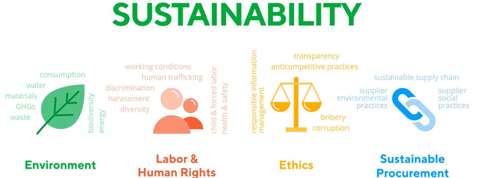 Environment, Labour & Human Rights, Ethics, Sustainable Producurement